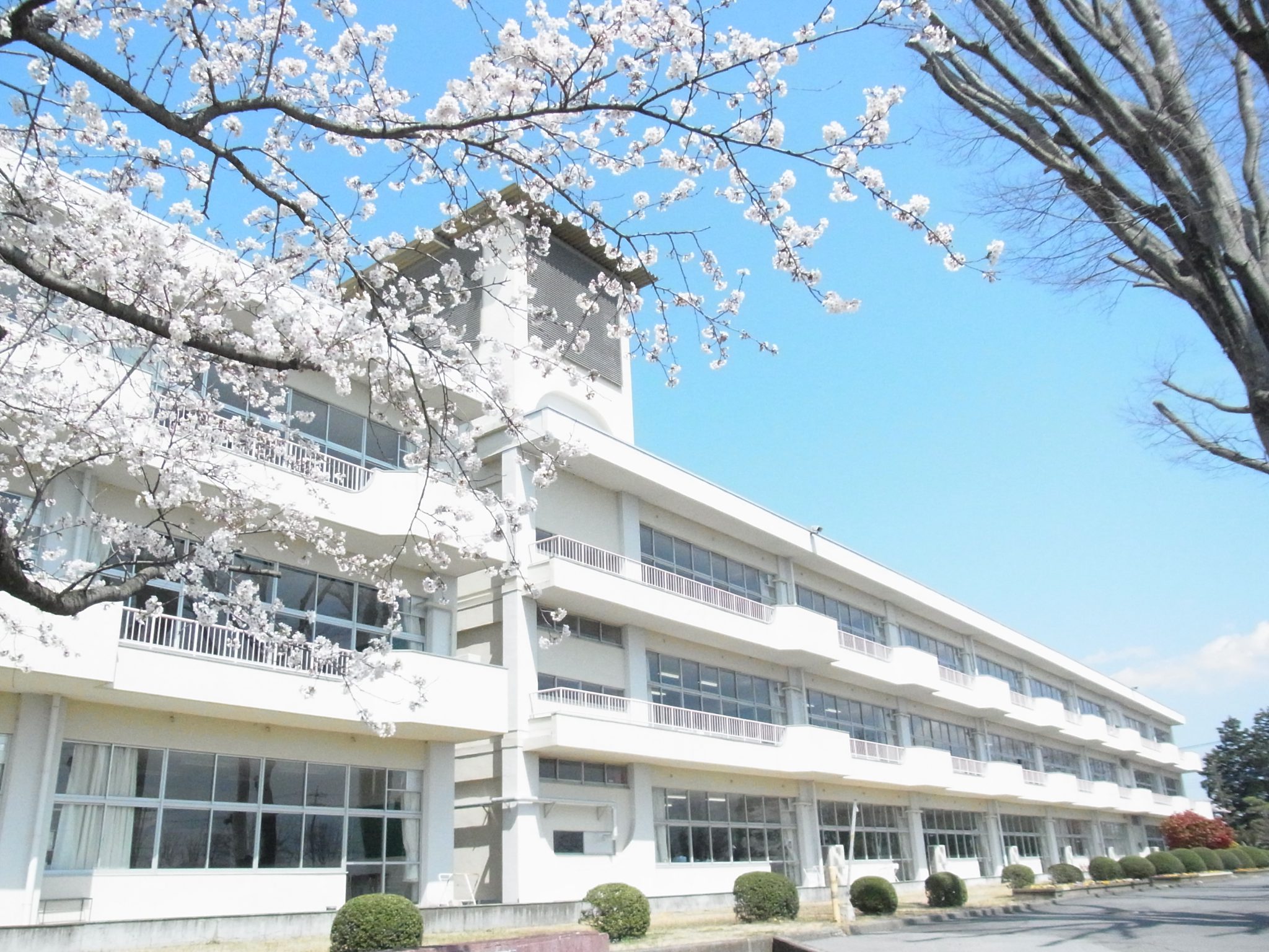 真岡女子高等学校 中サポ 真岡女子高等学校 中サポ