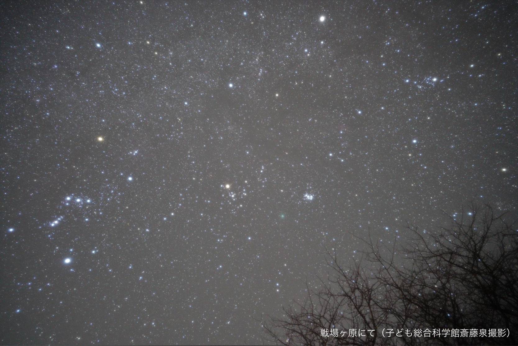 理科コラム７ 宇宙に果てはあるの 中サポ