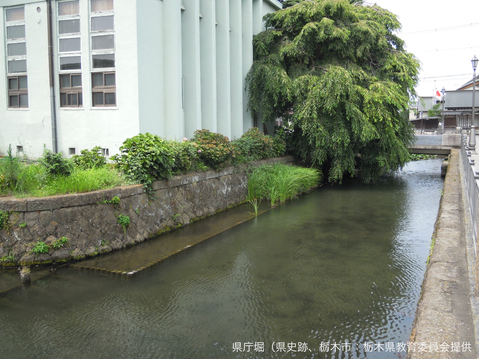 社会科コラム21 宇都宮に県庁があるのに 宇都宮県 ではないのはなぜ 中サポ